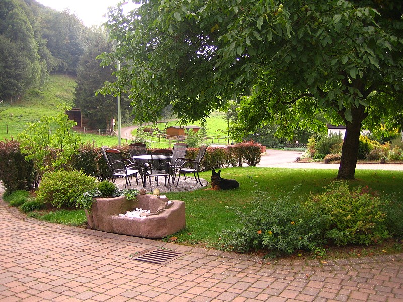 Ferienhof Sprünker – Bild 5