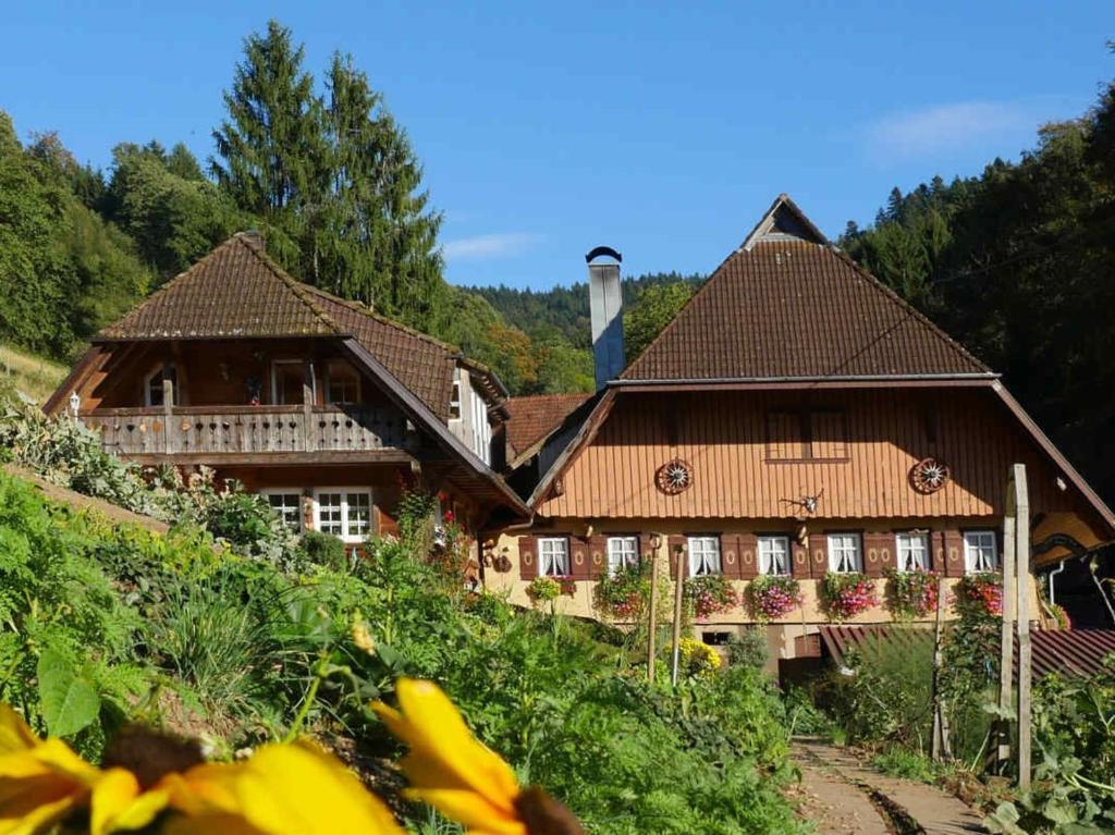 Hinterbauer Hof - Urlaub im Schwarzwald – Bild 1