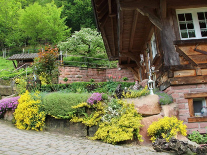 Hinterbauer Hof - Urlaub im Schwarzwald – Bild 2