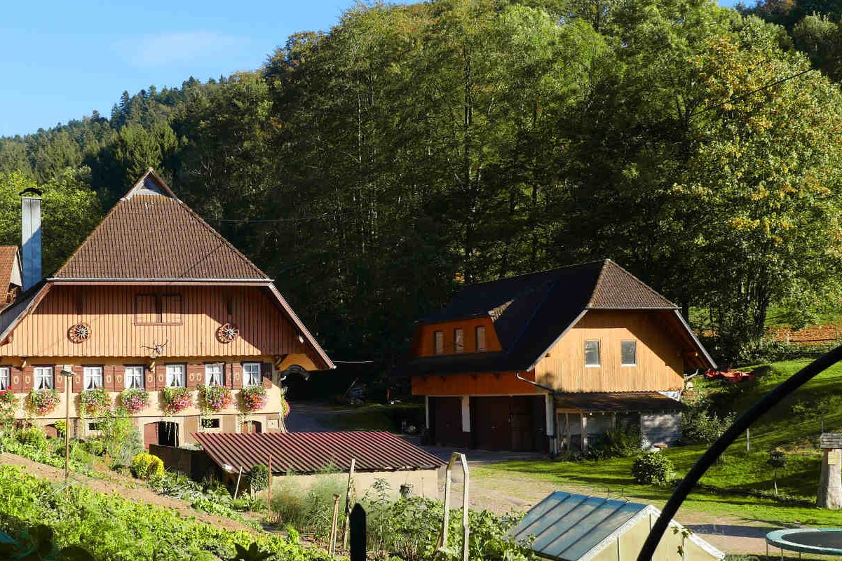 Hinterbauer Hof - Urlaub im Schwarzwald – Bild 3