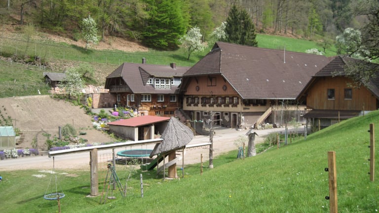 Hinterbauer Hof - Urlaub im Schwarzwald – Bild 5