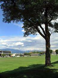 Jonathan Rogers Park – Bild 6