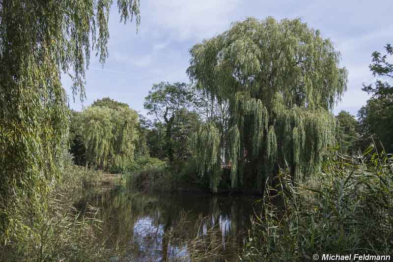 Credner-Anlagen – Bild 2