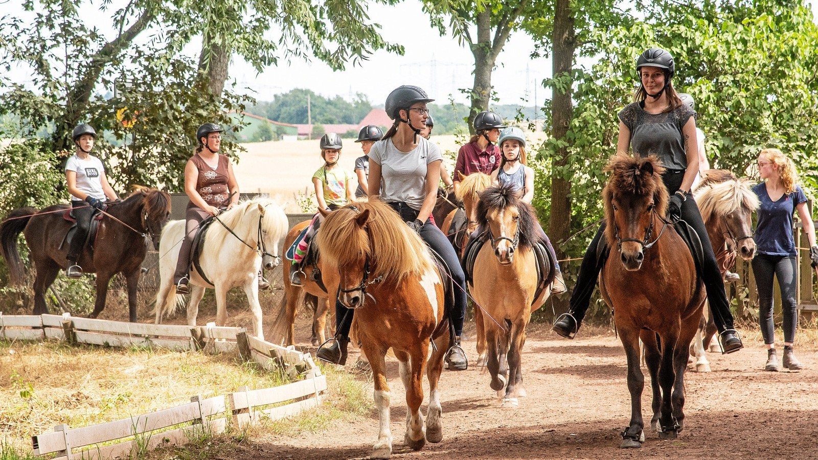 Hof Welkensiek – Bild 2