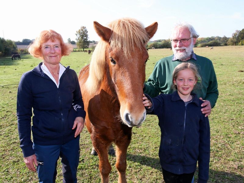 Hof Welkensiek – Bild 4