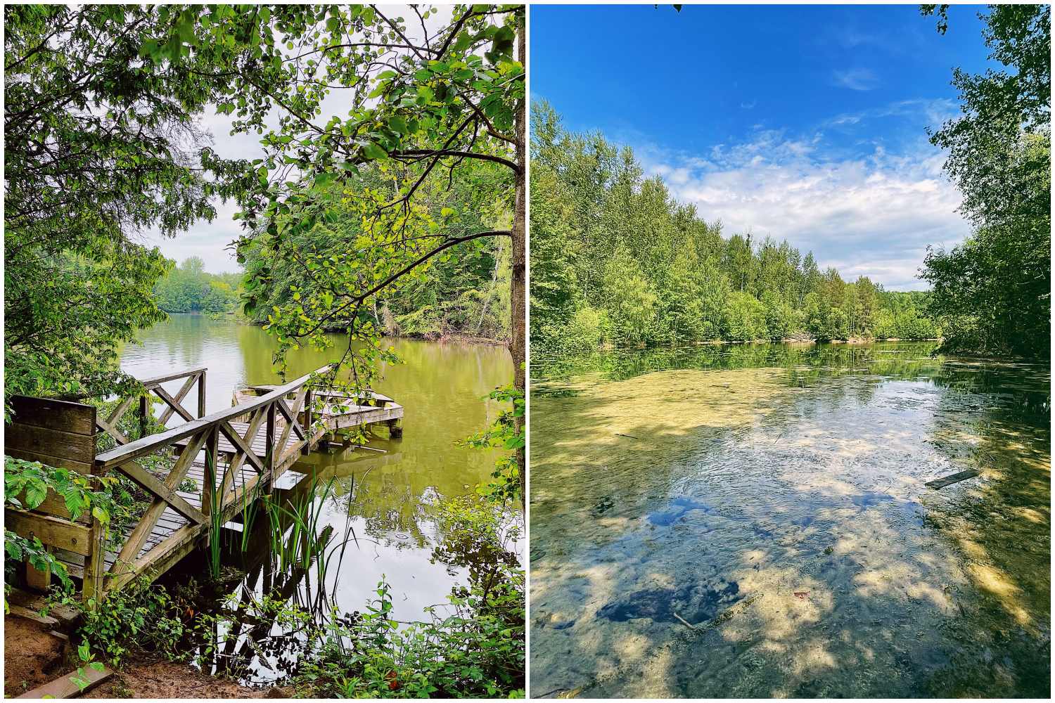 Erholungspark Saaler Mühle – Bild 6