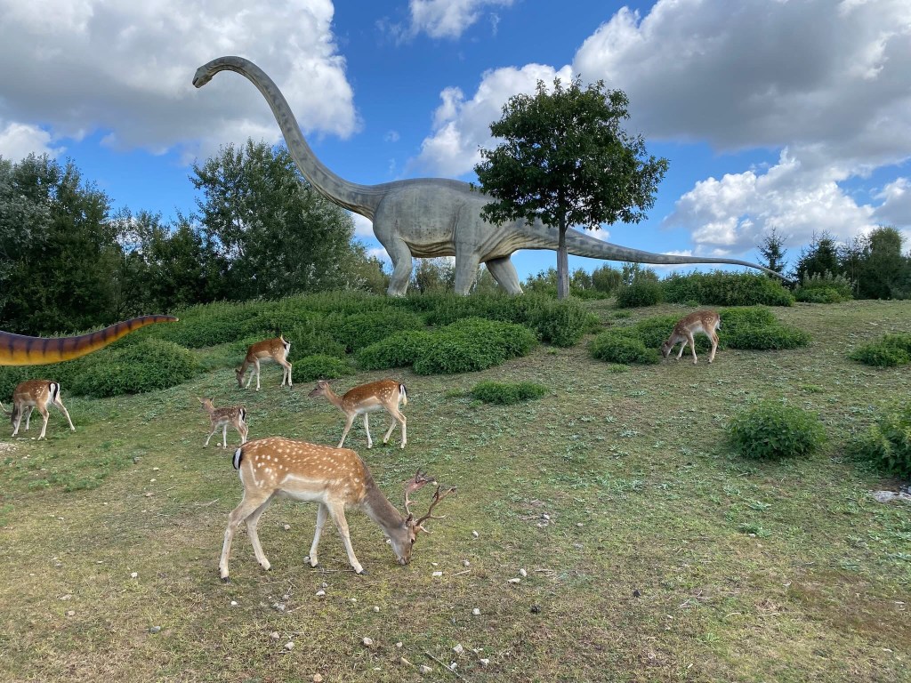 Vulkan im Tier-, Freizeit- und Saurierpark Germendorf – Bild 5