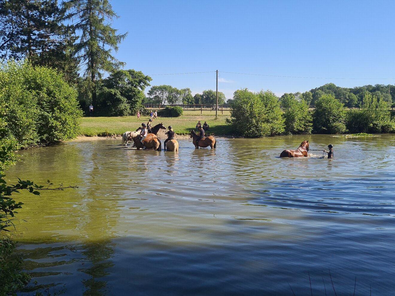 Ponyhof Georgenbruch - Tina u. Paul Schulze Zurmussen – Bild 3