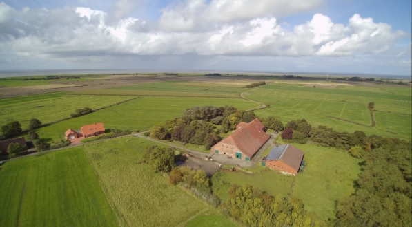 Ferienhof Gerdes - Helga Gerdes – Bild 1