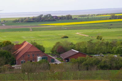 Ferienhof Gerdes - Helga Gerdes – Bild 6