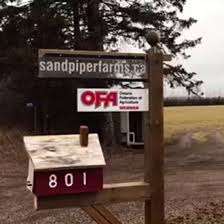 Sandpiper Tree Farm – Bild 2