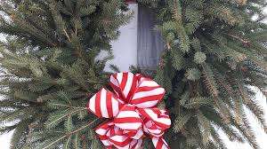 Sandpiper Tree Farm – Bild 3