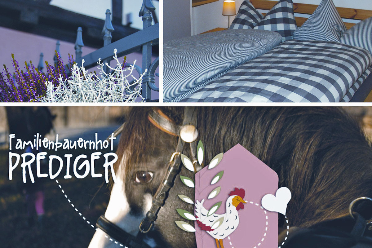 Familienbauernhof Prediger – Bild 2