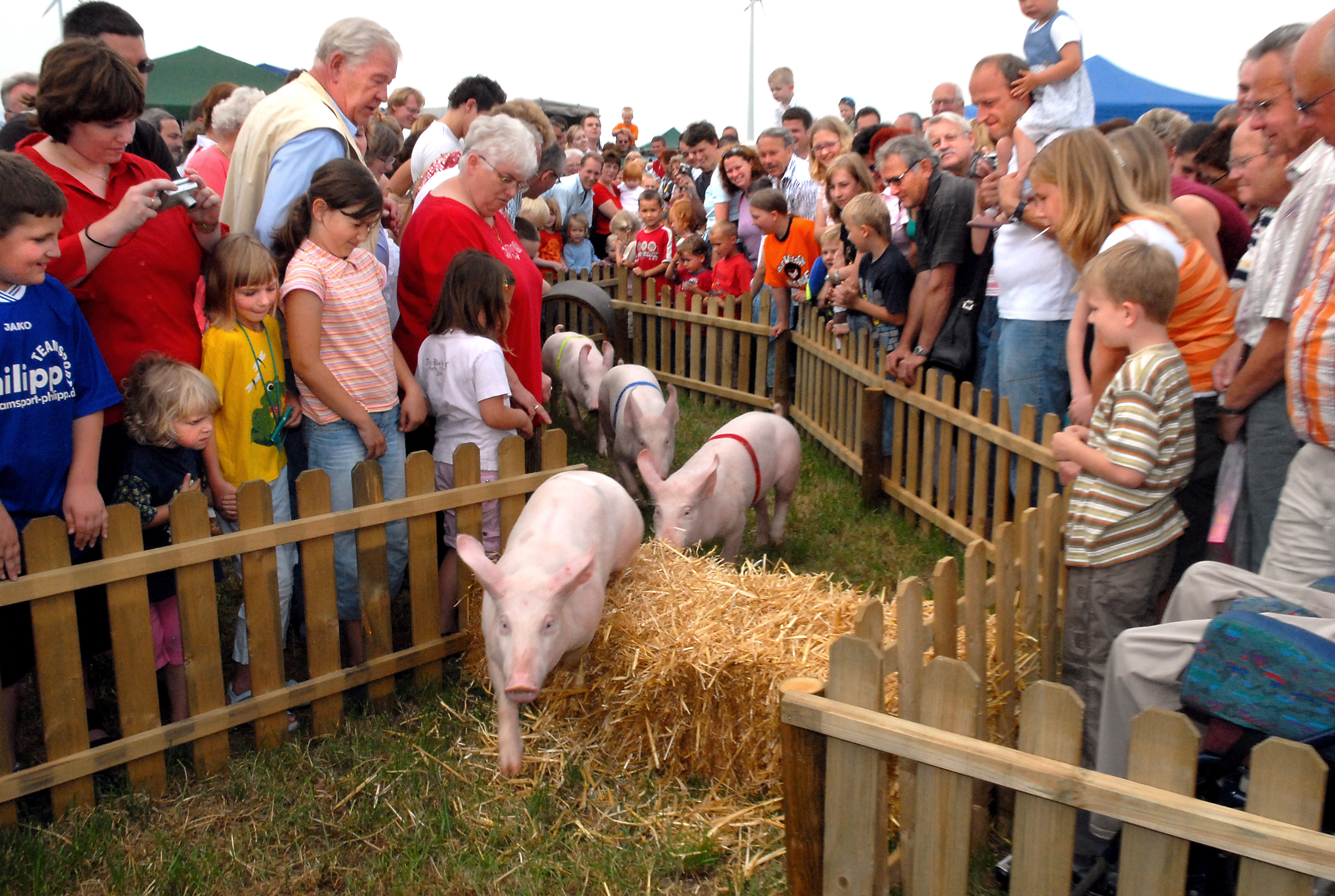 Bauernhof Süthold – Bild 6