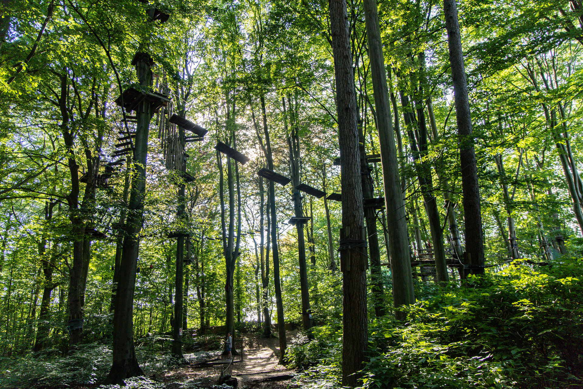 OutEx-Kletterwald Hochseilgarten Hademarschen – Bild 4