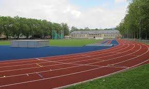 Zelgli Sport Feld – Bild 4