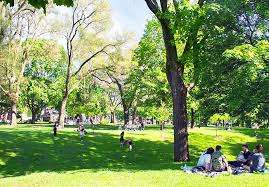 Dufferin Grove Park – Bild 4