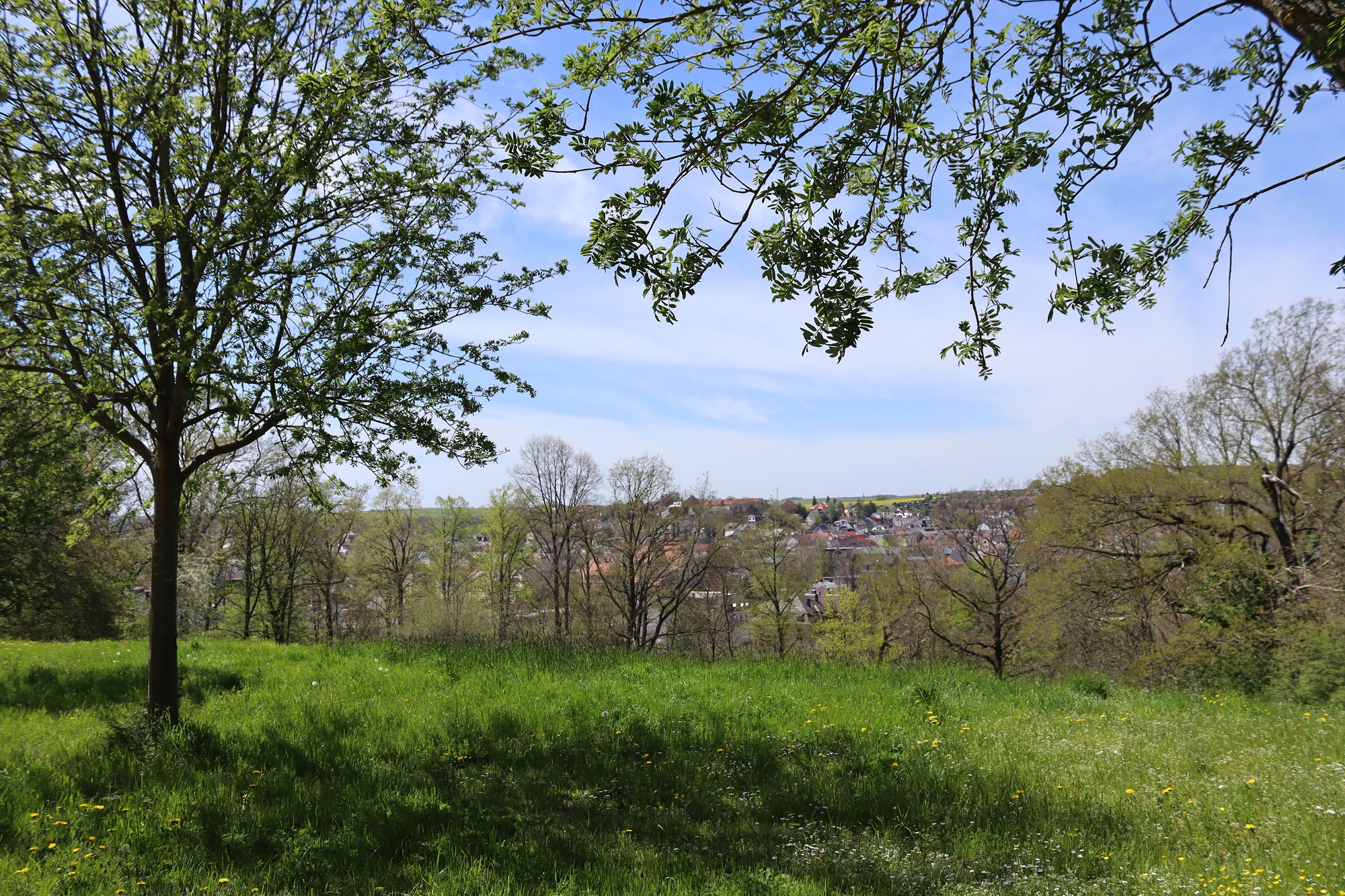 Zöffelpark – Bild 2