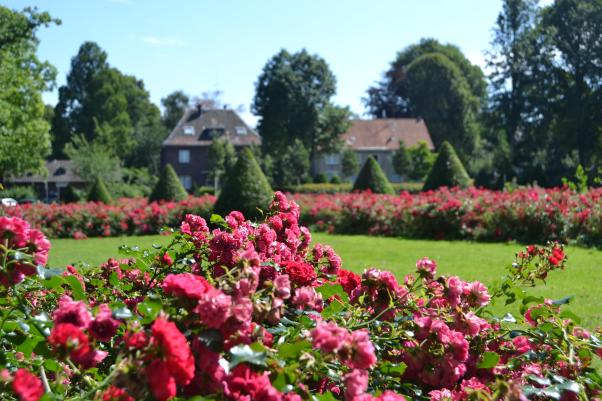 Gondelteich Stadtgarten Castrop-Rauxel – Bild 4