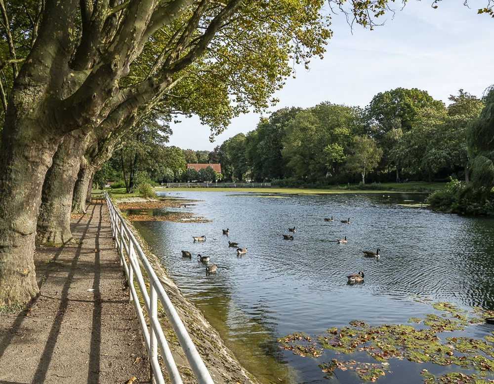 Gondelteich Stadtgarten Castrop-Rauxel – Bild 5