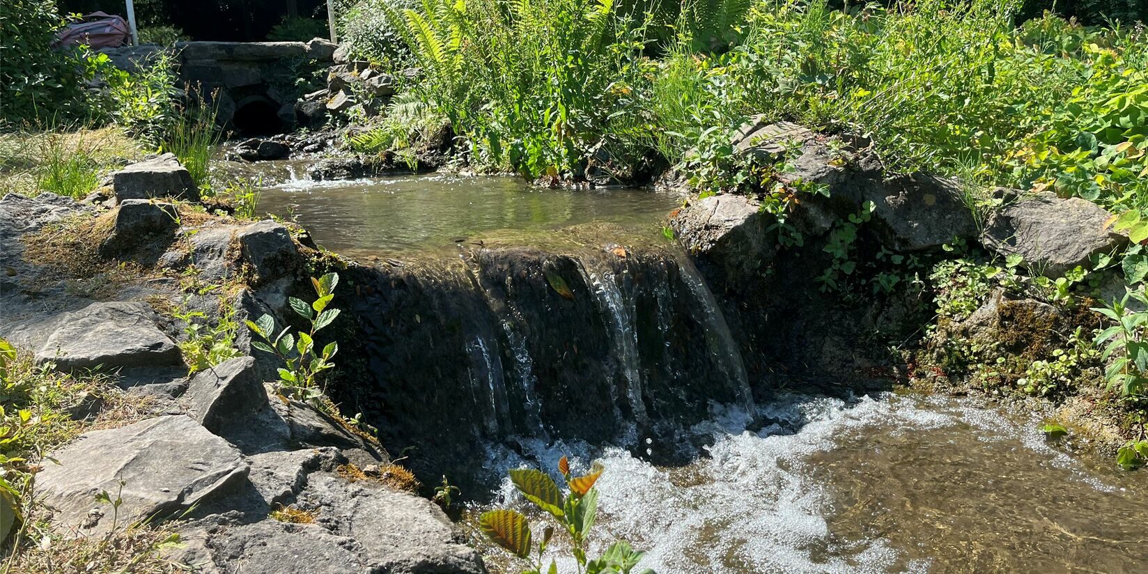 Gondelteich Stadtgarten Castrop-Rauxel – Bild 6