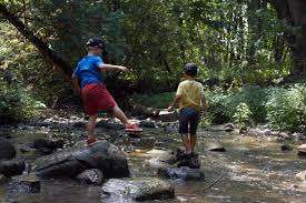 Willowgrove Farm, Day Camp, Field Trips, and Nature School – Bild 1
