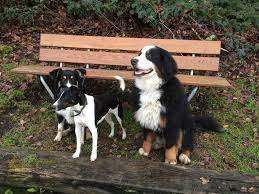 Pensionsstall Jost – Bild 4