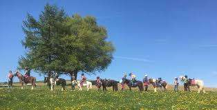 Pensionsstall Jost – Bild 5