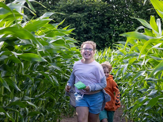 Maislabyrinth KiWeBu – Bild 2