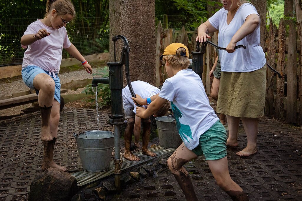 Maislabyrinth KiWeBu – Bild 4