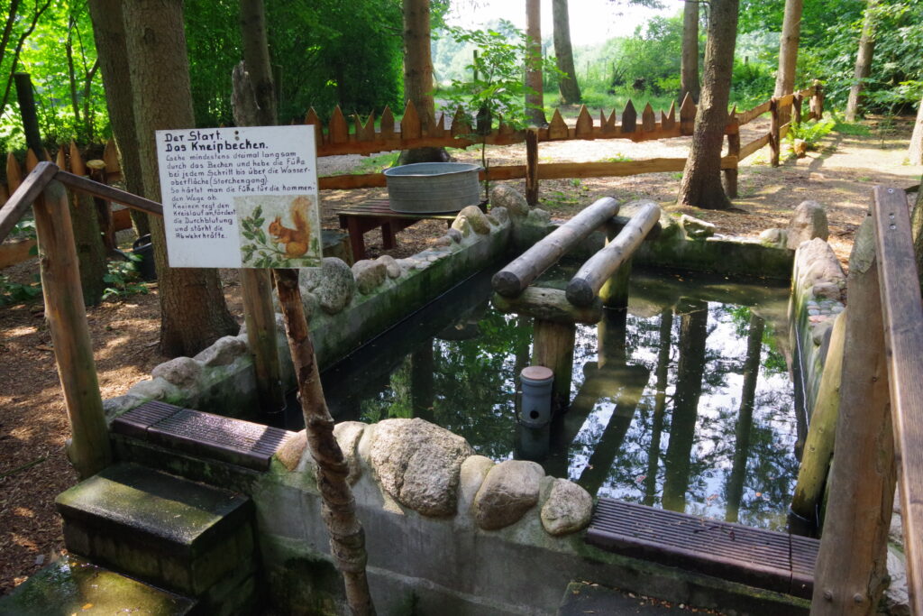 Maislabyrinth KiWeBu – Bild 6