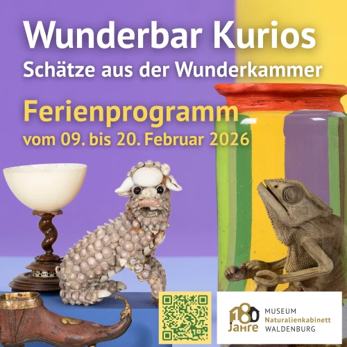 Saunastube Waldenburg – Bild 5