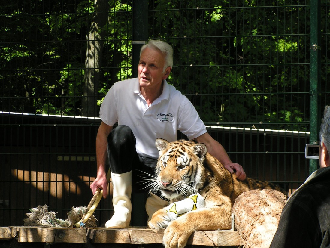 Tiger-Garten Waldeck e. V. – Bild 6