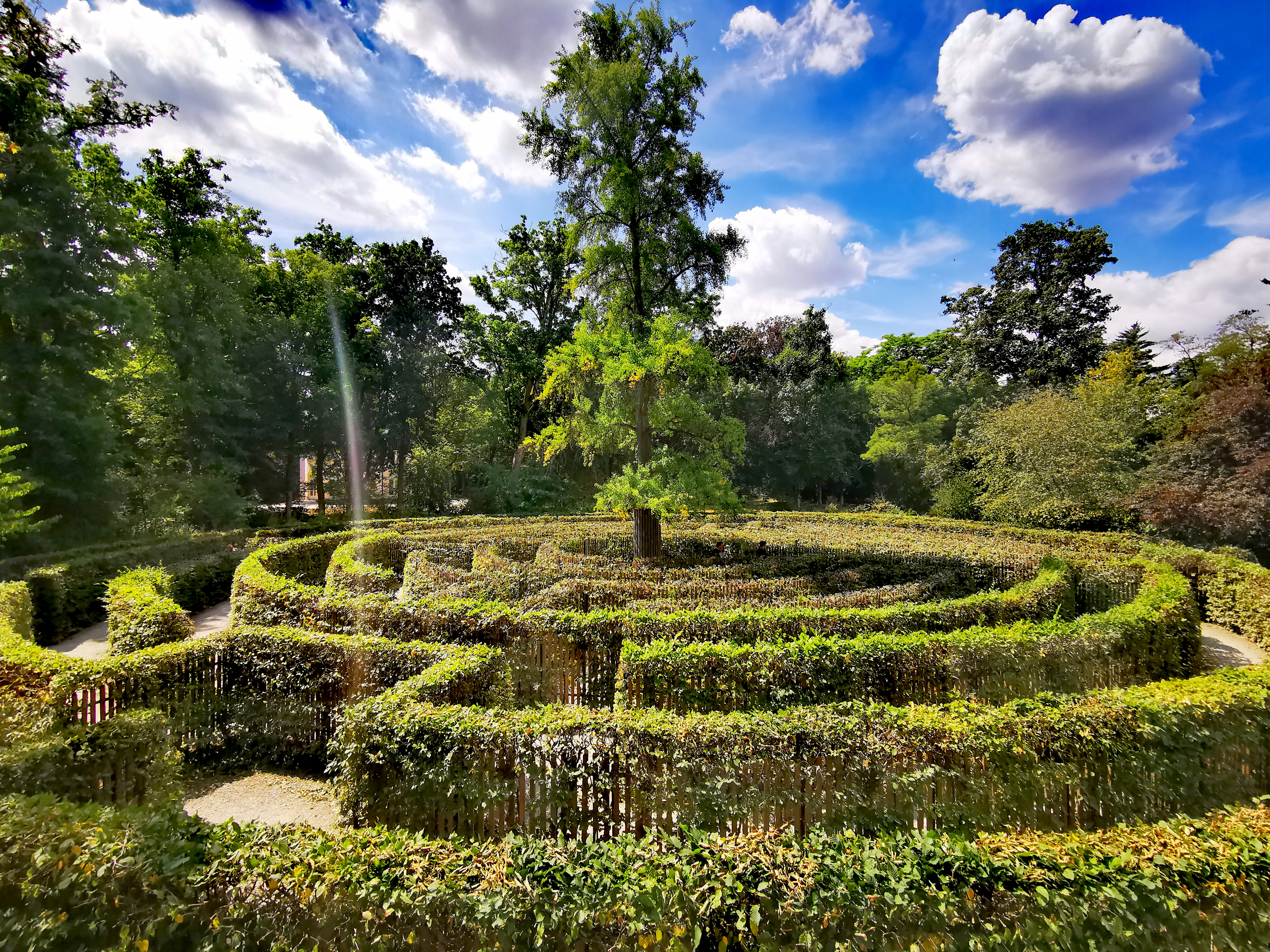 Irrgarten Im Schönbusch – Bild 4