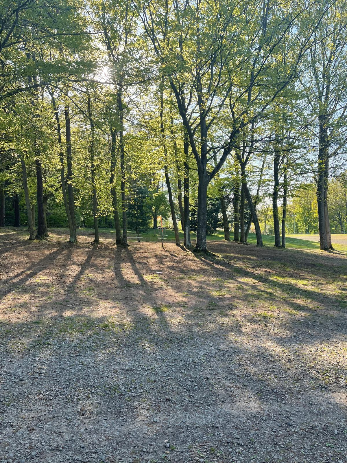 Pulaski Park – Bild 2