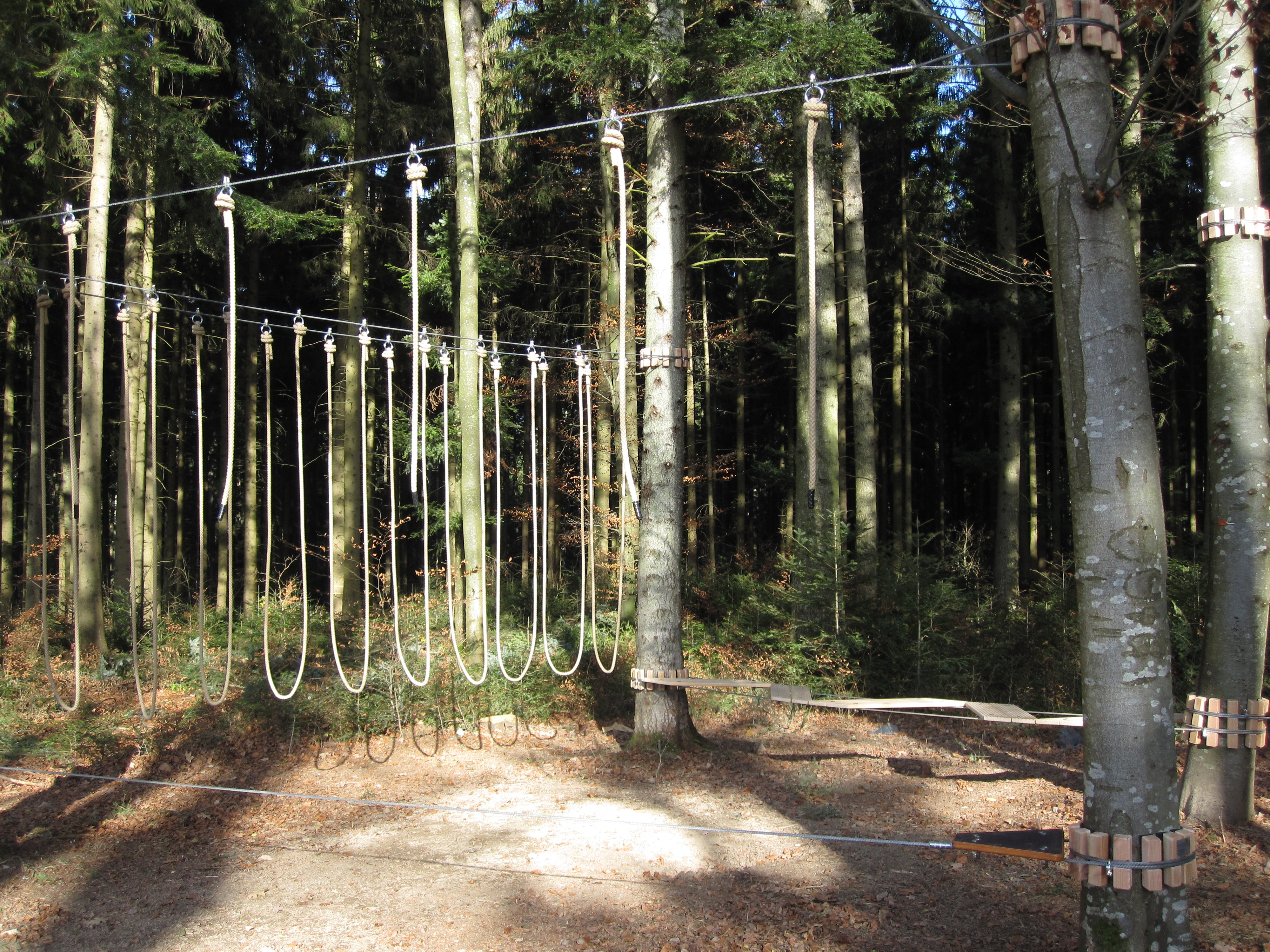 Niedrigseil-Klettergarten – Bild 4