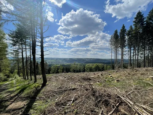 Hoggeweiher – Bild 2