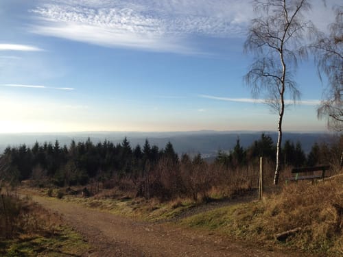 Hoggeweiher – Bild 5