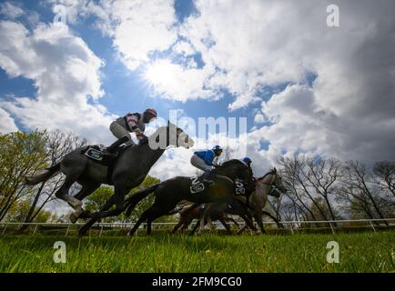 Dresdener Rennverein 1890 e.V. – Bild 4