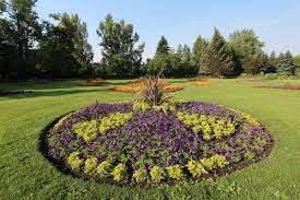 Riley Park – Bild 1