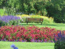 Riley Park – Bild 3