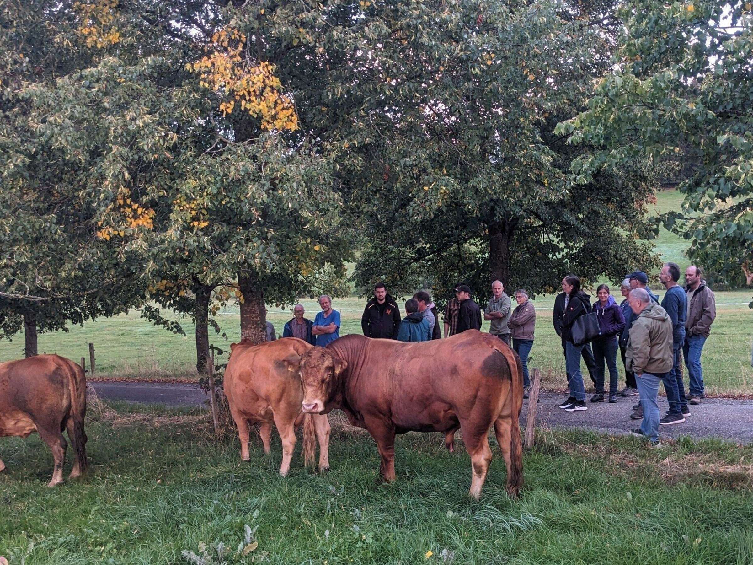 Hofgut Mohrenstetten – Bild 2