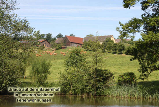 Hofgut Mohrenstetten – Bild 3