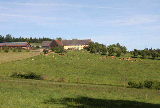 Hofgut Mohrenstetten – Bild 4