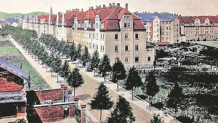 Löbauer Wiese – Bild 2