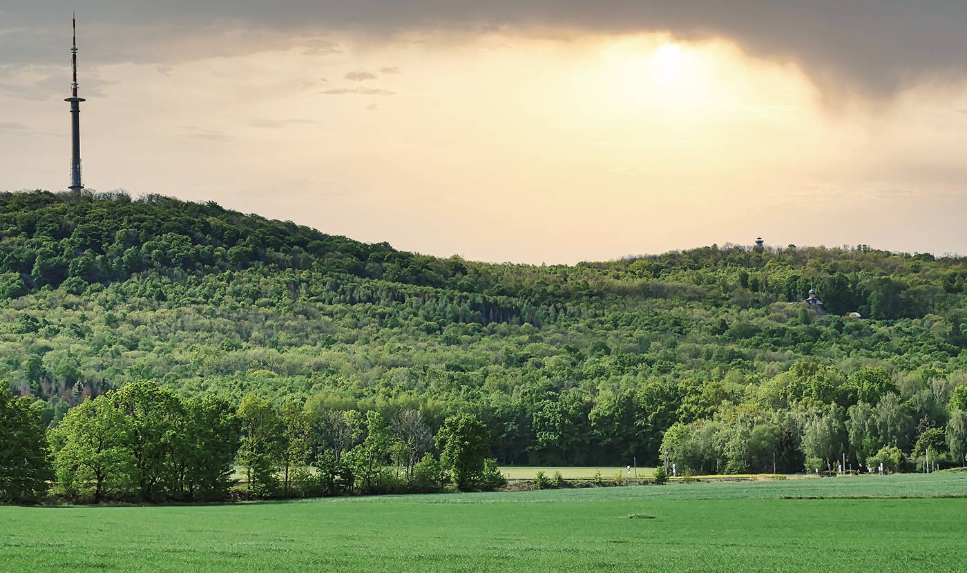 Löbauer Wiese – Bild 3