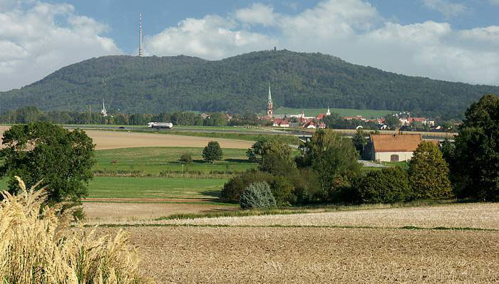 Löbauer Wiese – Bild 6