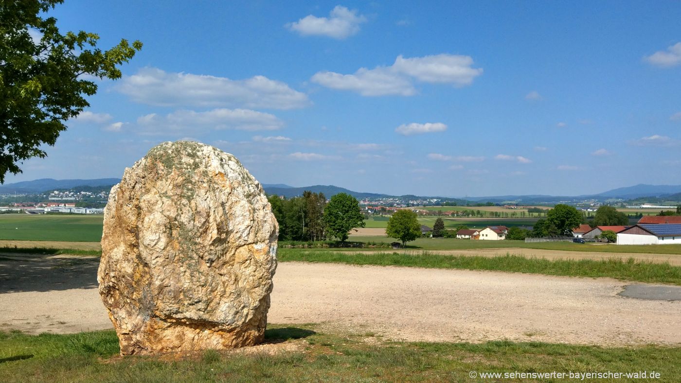 Pfahldrache – Bild 5