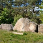 Pfahldrache – Bild 6