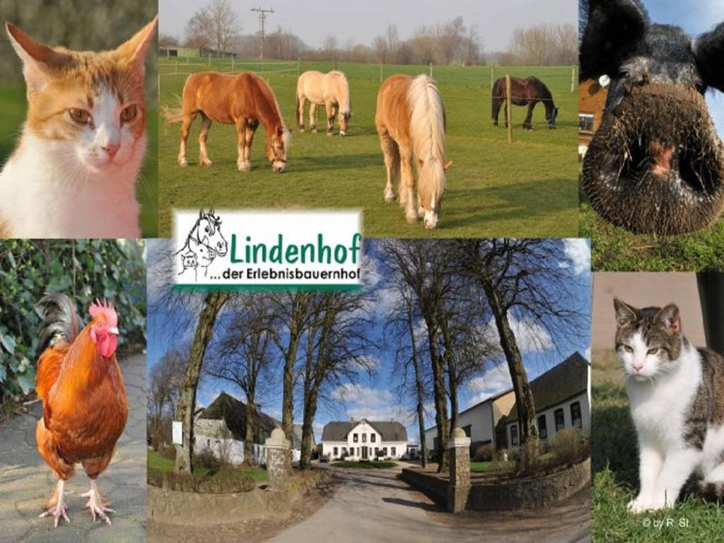 Lindenhof - Inga und Kord Iversen – Bild 4